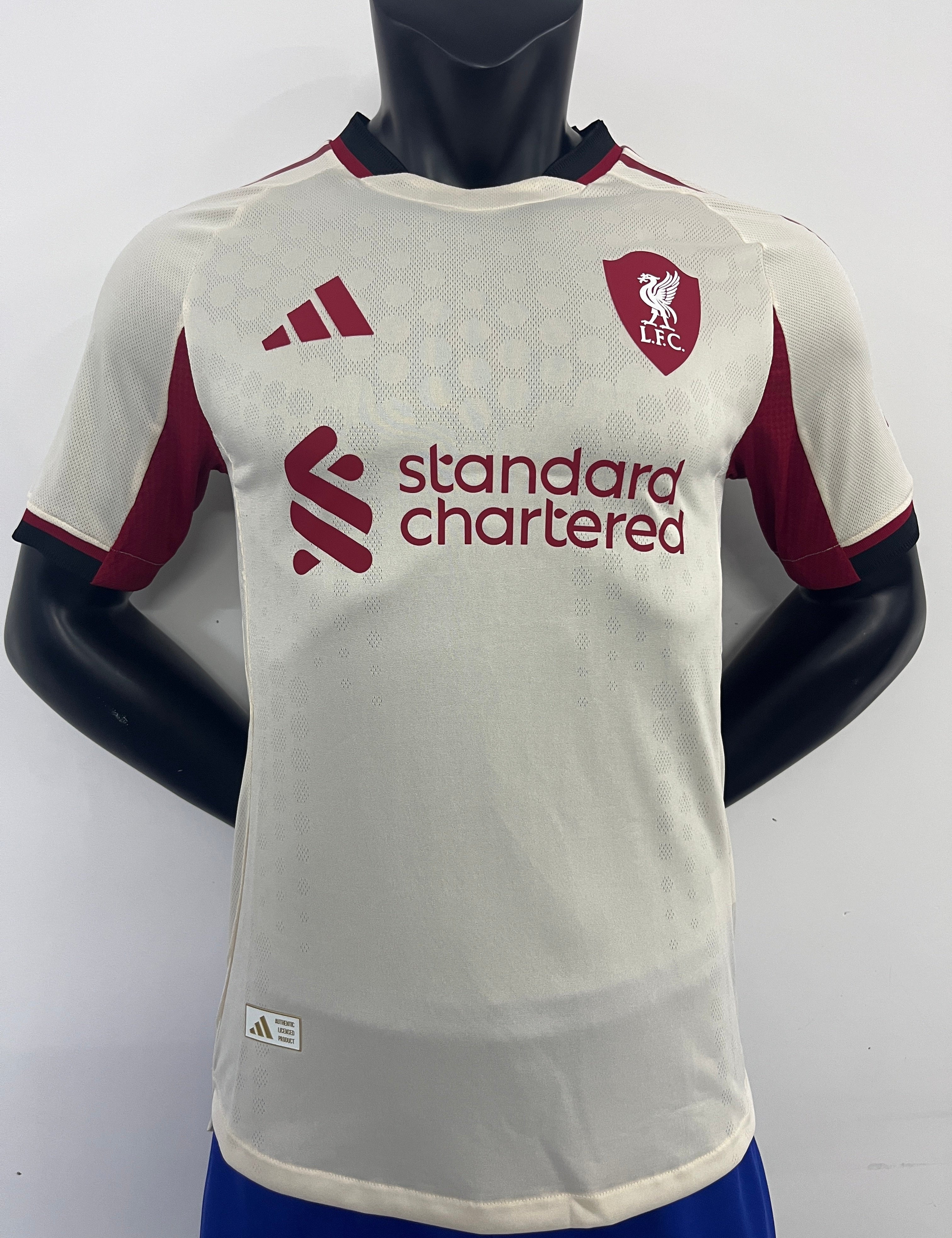 605420ea.jpg